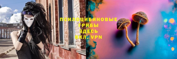 бошки Пролетарск