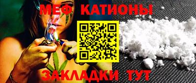 шишки Заволжье
