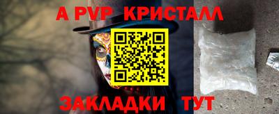 шишки Заволжье