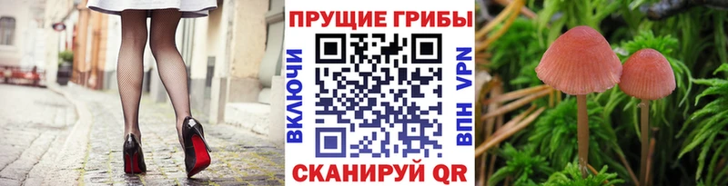 Псилоцибиновые грибы MAGIC MUSHROOMS  MEGA как войти  Шуя 